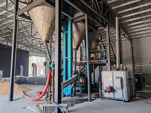 河北石家莊玉米壓片機(jī)現(xiàn)場(chǎng)