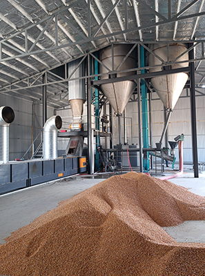 玉米壓片機(jī)